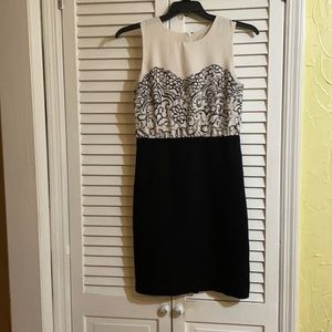 Beautiful Loft Dress for sale Size 4
